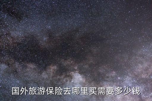 国外旅游保险去哪里买需要多少钱