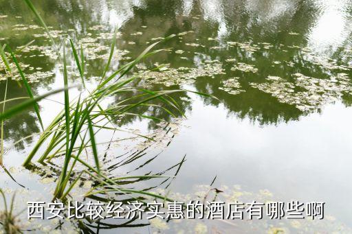 西安比较经济实惠的酒店有哪些啊