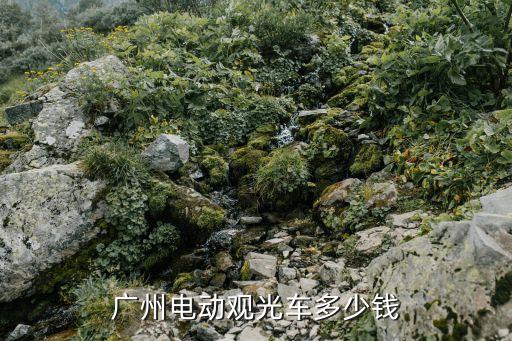 电动游览观光车价格，电动旅游观光车多少钱