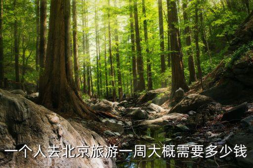 一个人去北京旅游一周大概需要多少钱
