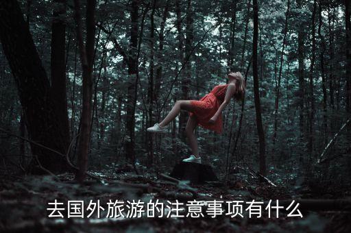 在国外旅游最应该注意什么，去国外旅游的注意事项有什么