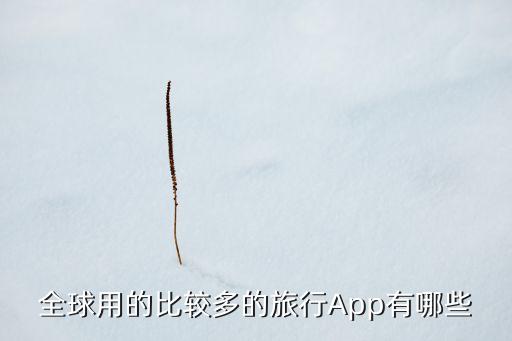 国外有什么在线旅游，哪个境外游旅游网站好本人想春节去马尔代夫
