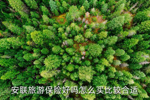 安游保险责任，旅游平安保险的保险责任