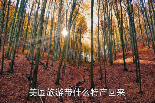 国外旅游回来买什么好一点，美国旅游带什么特产回来