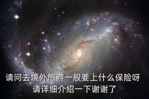 请问去境外旅游一般要上什么保险呀 请详细介绍一下谢谢了