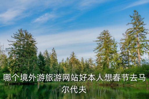国外旅游网哪个网站好，哪个境外游旅游网站好本人想春节去马尔代夫