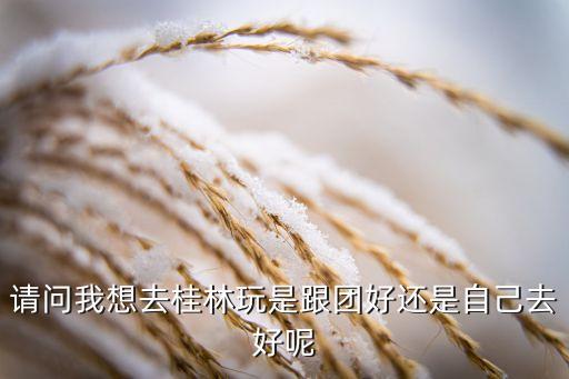 去桂林适合自助游还是跟团，请问我想去桂林玩是跟团好还是自己去好呢