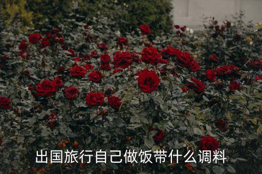 出国旅行自己做饭带什么调料