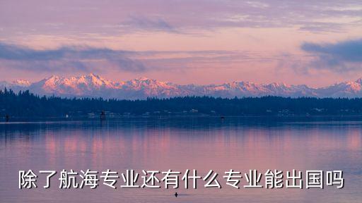 什么专业可以去国外旅游，文科学什么专业才可以将来方便干国际旅游这一行