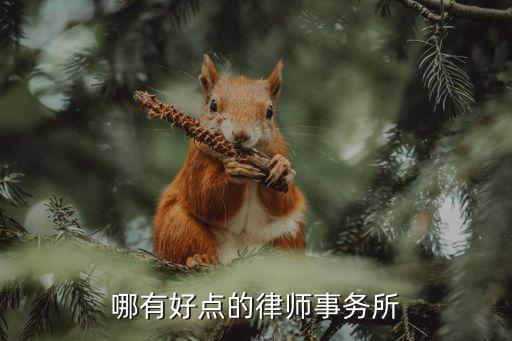 哪家律师事务所比较好，最好的律师事务所是哪里最好是金融强的