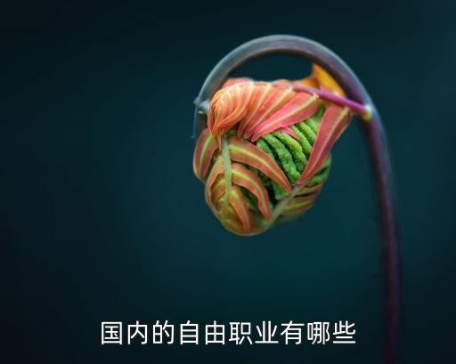 国内的自由职业有哪些