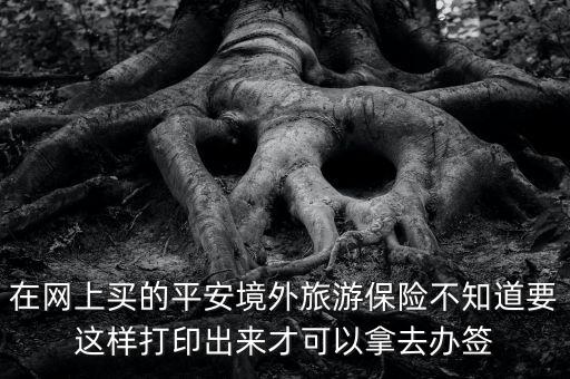 在网上买的平安境外旅游保险不知道要这样打印出来才可以拿去办签