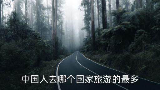 中国人去哪个国家旅游的最多