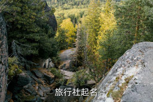 旅游社名字创意大全，帮旅行社取名