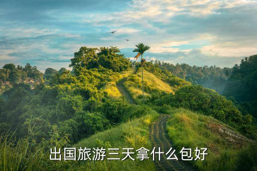 出国旅游三天拿什么包好