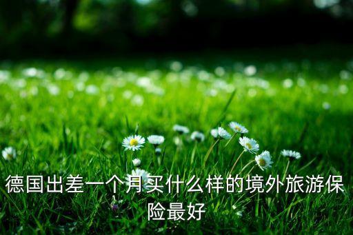 德国出差一个月买什么样的境外旅游保险最好