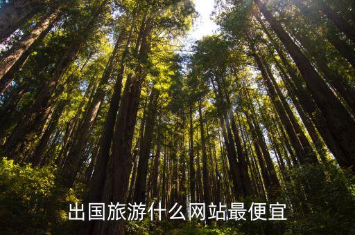 出国旅游什么网站最便宜