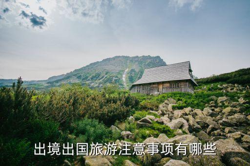 旅游国外规则是什么内容，出国旅游条件
