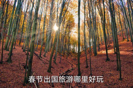 春节国外旅游最好去哪里，春节出国游哪里好