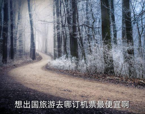 国外旅游订票哪里便宜，想出国旅游去哪订机票最便宜啊