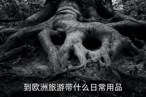 到欧洲旅游带什么日常用品