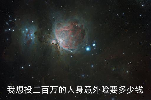 我想投二百万的人身意外险要多少钱