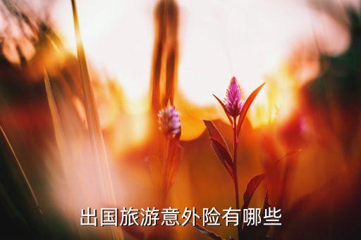 出国旅游意外险有哪些