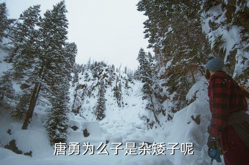 中旅集团唐勇，唐勇为么子是杂矮子呢