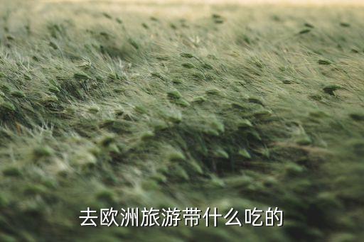 去欧洲旅游带什么吃的