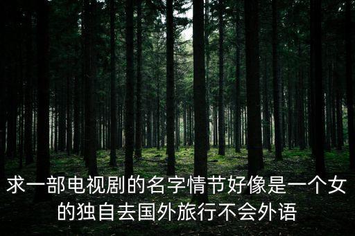 求一部电视剧的名字情节好像是一个女的独自去国外旅行不会外语