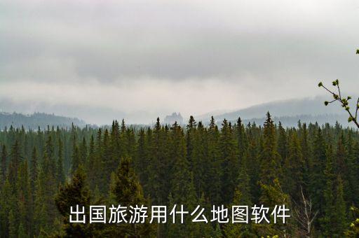 出国旅游用什么地图软件