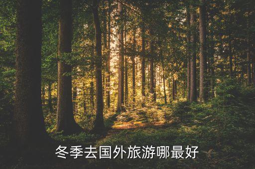 到国外旅游哪个中转站最好，去国外旅游在哪里换外币比较划算呢