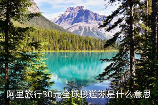 哪个旅游网有国外接送机的，阿里旅行30元全球接送劵是什么意思