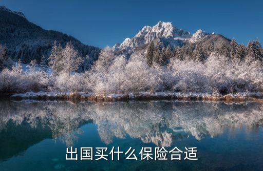 出国买什么保险合适