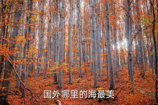 国外哪里的海最美