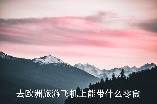 去欧洲旅游飞机上能带什么零食