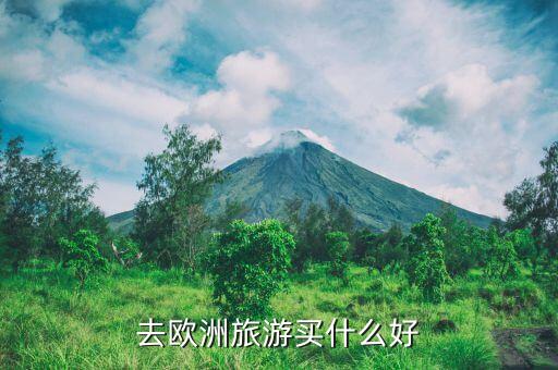 去欧洲旅游买什么好