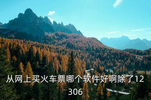 从网上买火车票哪个软件好啊除了12306
