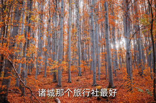 诸城那个旅行社最好