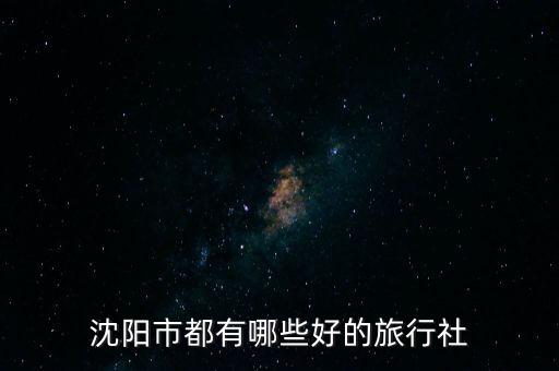 沈阳市都有哪些好的旅行社