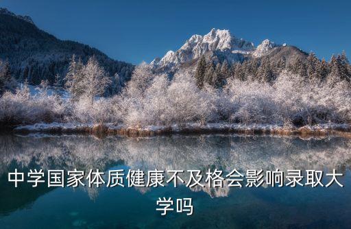 中学国家体质健康不及格会影响录取大学吗