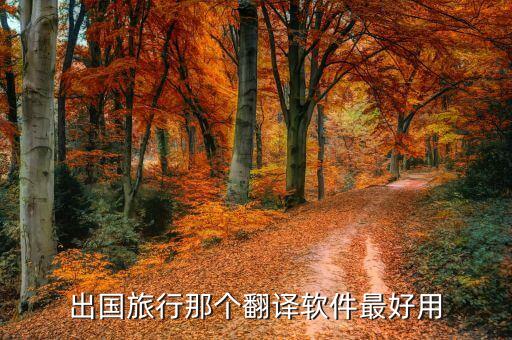 国外旅游用哪个翻译软件，去国外旅行什么翻译软件好用
