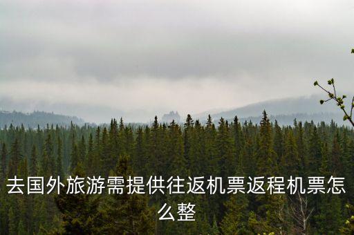 去国外旅游需提供往返机票返程机票怎么整