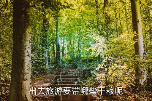 什么干粮适合带出国外旅游，出国旅行自己做饭带什么调料