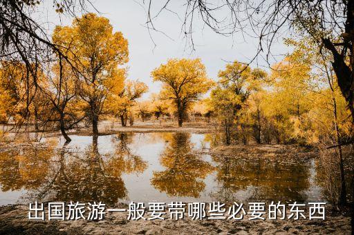 出国旅游一般要带哪些必要的东西