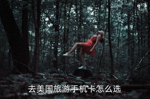 去国外旅游手机用什么卡，去美国旅游手机卡怎么选