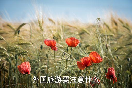国外旅游不能做的事有哪些，出国游有哪些特别需要注意的事项