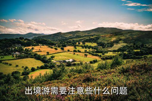 出境游需要注意些什么问题