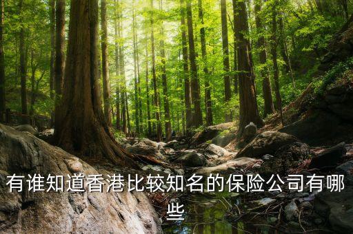 有谁知道香港比较知名的保险公司有哪些