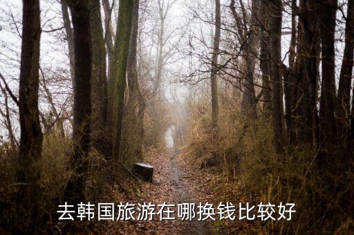 去韩国旅游在哪换钱比较好